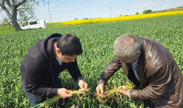 Üreticilere “erken müdahale” çağrısı