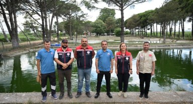 Edirne, bölgenin balık üretim üssü oldu: 5 yılda 40 milyon sazan doğaya kazandırıldı