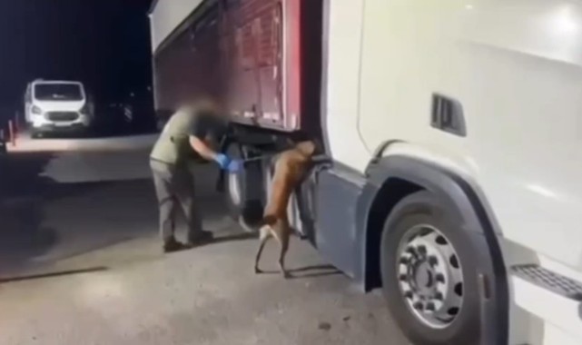 Edirne dahil 76 ilde narkotik operasyonu