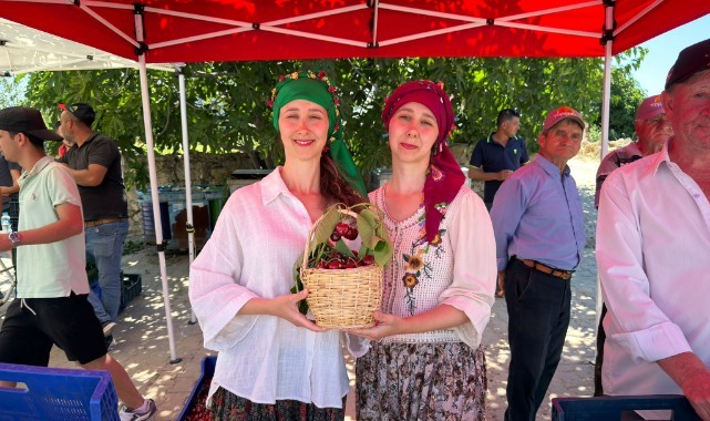 Edirne’nin tescilli lezzeti Çeribaşı kirazında hasat başladı