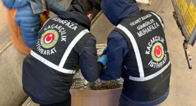   Gümrük muhafazadan uyuşturucuya büyük darbe: 108 ton ele geçirildi  