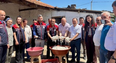 İpek böceklerinden 200 kilogram koza elde edildi