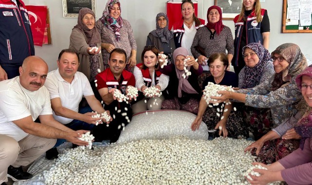 İpek kozaları toplandı, emek karşılık buldu