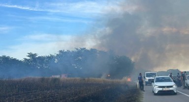 Kuru otlar tutuştu, tarım arazileri kül oldu