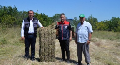 Meralarda biçilen otlar hayvancılığa destek oluyor