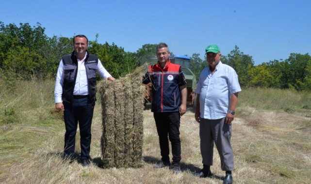 Meralarda biçilen otlar hayvancılığa destek oluyor