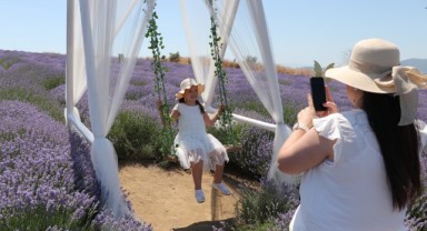   Mor tarlalarda fotoğraf mesaisi: lavanta sezonu ziyaretçileri ağırlıyor