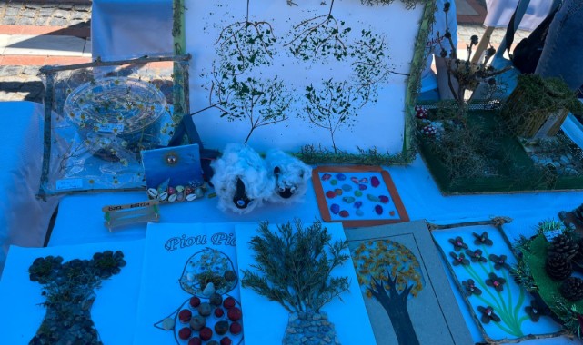 Özel öğrencilerin projeleri bilim festivalinde ilgi odağı oldu