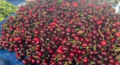 Pazartesi pazarında yaz hareketliliği