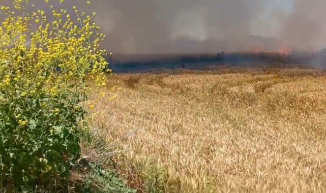 Uzunköprü’de ekili alanlar son anda kurtarıldı