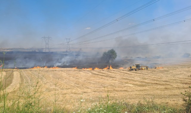 Yangın nedeniyle 500 dekarlık alan zarar gördü