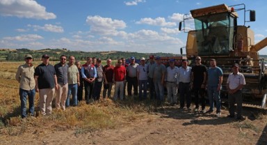 Yeni çeşitler verim ve dayanıklılık açısından değerlendirildi