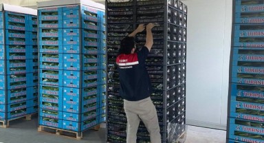 İhracattan dönen ürünlere laboratuvar kontrolü