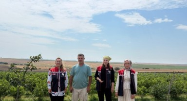 İpsala'da mavi yemiş üretimi büyüyor, alternatif tarım ürünlerine ilgi artıyor