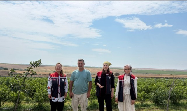 İpsala'da mavi yemiş üretimi büyüyor, alternatif tarım ürünlerine ilgi artıyor