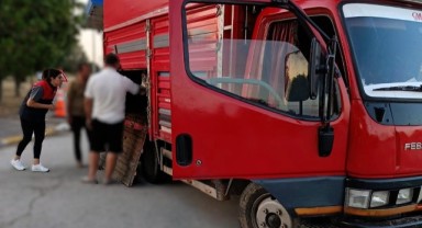 Kaçak yolla büyükbaş hayvan getiren kişiye 175 bin lira ceza kesildi