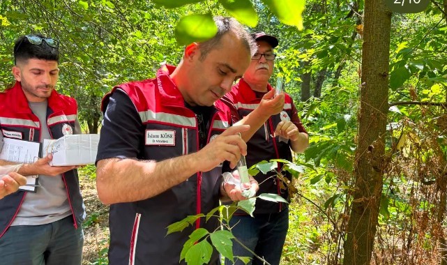 Kahverengi kokarcaya karşı 728 samuray arıcığı göreve başladı