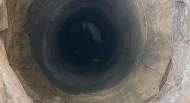 Kuyuya düşen koyun hayata döndürüldü
