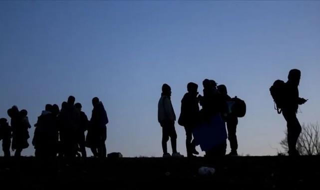 Panelvanda 9 Düzensiz Göçmen Yakalandı