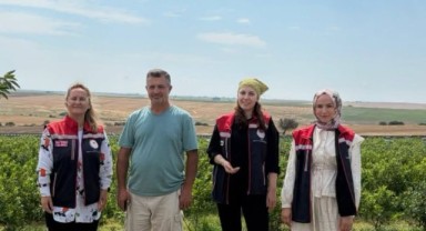 Tarım ekiplerinden sahada üretici mesaisi