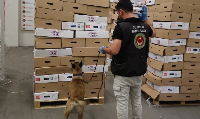 Tavuk yüklü Tır’daki zehir sevkiyatı engellendi