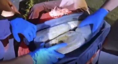 Tonlarca uyuşturucu ve yüz binlerce hap ele geçirildi