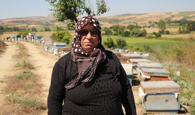 30 Yıllık Emek Geçim Kapısı Oldu: 62 Yaşındaki Kadın Arıcılıkla Ailesini Geçindiriyor