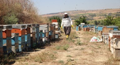 30 Yıllık Emek Geçim Kapısı Oldu: 62 Yaşındaki Kadın Arıcılıkla Ailesini Geçindiriyor