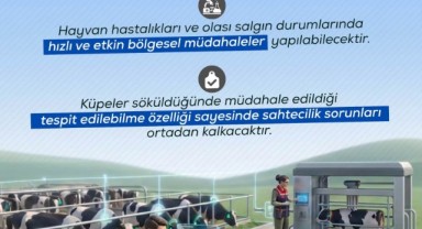 BAKAN YUMAKLI AÇIKLADI: 17 MİLYON BÜYÜKBAŞA DİJİTAL KÜPE GELİYOR