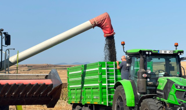 Biçerdöverler Ayçiçeği İçin Tarlalara İndi