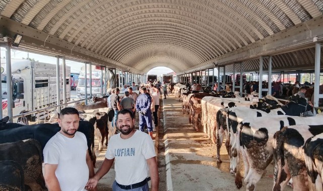 Büyükbaş Canlı Hayvan Pazarı yeniden açıldı