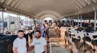 Büyükbaş Canlı Hayvan Pazarı yeniden açıldı