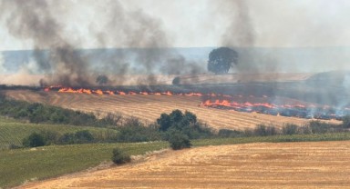 Elektrik Kablosundan Çıkan Kontrol Altına Alındı