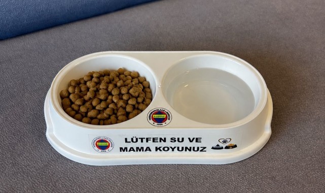 Fenerbahçeliler Derneği’nden Sıcak Havalarda Sokak Hayvanlarına Mama ve Su Desteği