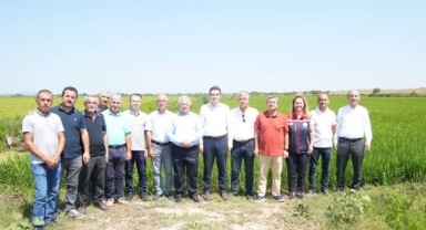İpsala Protokolü Çeltik Üreticileriyle Tarlada Buluştu