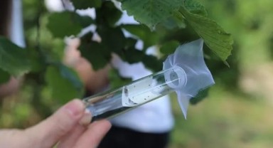Kahverengi kokarcaya karşı mücadelede eğitim ve bilinçlendirme atağı