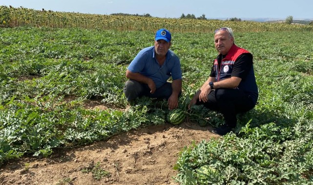 Lalapaşa’da destekten yararlanan üreticinin tarlasında inceleme yapıldı