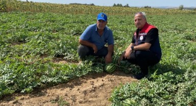 Lalapaşa’da destekten yararlanan üreticinin tarlasında inceleme yapıldı