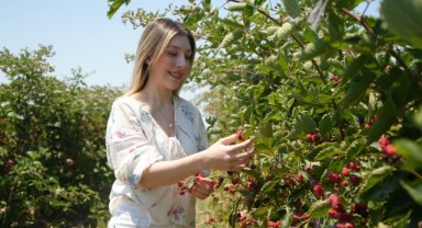 Mesleği Fizyoterapist, Gönlü Toprakta: Gençer Böğürtlenle İhracata Hazırlanıyor