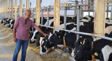 Plazadan Çiftliğe Uzanan Başarı Hikayesi: Günde 42 Ton Süt Üretiyor