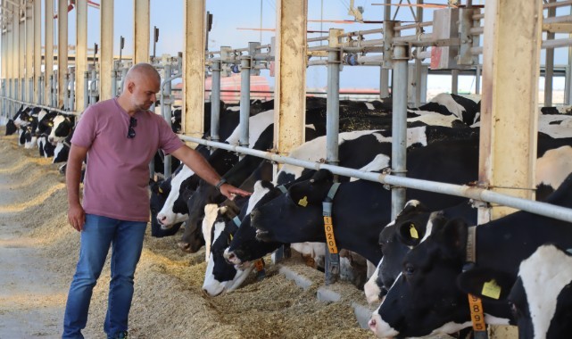 Plazadan Çiftliğe Uzanan Başarı Hikayesi: Günde 42 Ton Süt Üretiyor