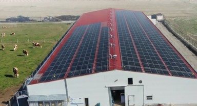 Tarımda Hibe Desteği Sürüyor: Temmuzda 634,3 Milyon TL Ödeme