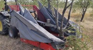 Badem Ağaçlarında Hasat Zamanı