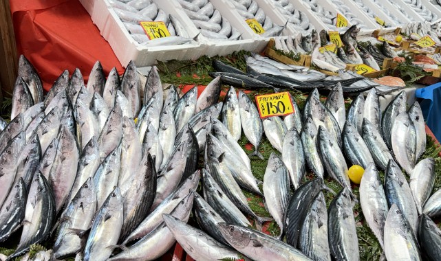Balıkçı Tezgâhlarında Palamut Bereketi