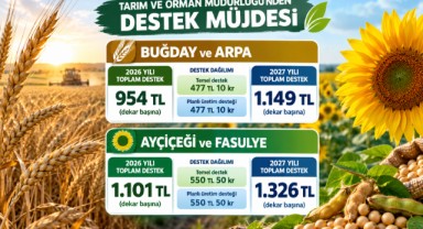 Buğday ve Ayçiçeği Destekleri Artırıldı