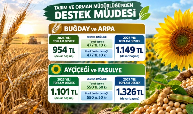 Buğday ve Ayçiçeği Destekleri Artırıldı