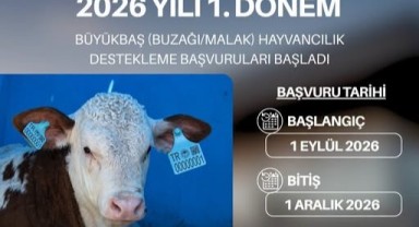 Hayvancılık Desteklerinde Başvuru Süreci Başladı