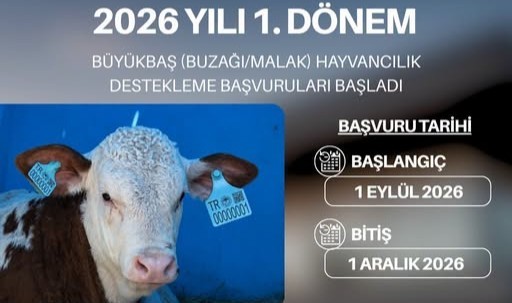 Hayvancılık Desteklerinde Başvuru Süreci Başladı