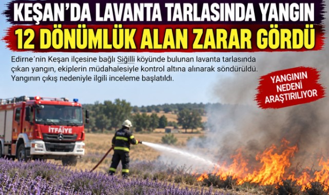 Lavanta Tarlası Alevlere Teslim Oldu