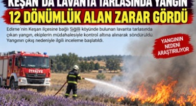 Lavanta Tarlası Alevlere Teslim Oldu